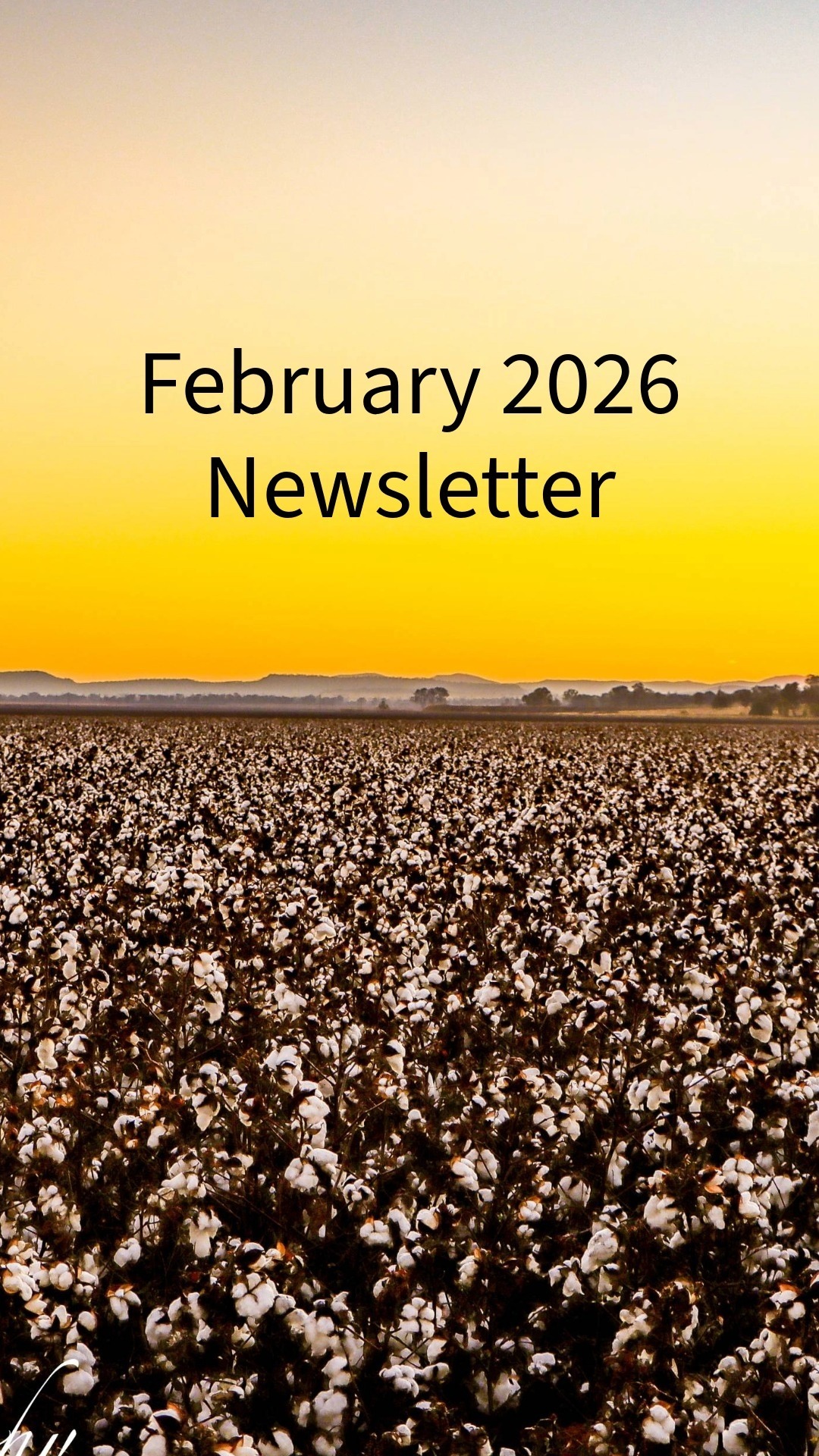 February 2026 Newsletter